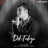 About Dil Todeya Song